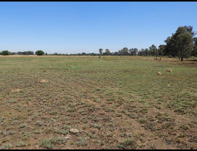 115,300M² VACANT LAND FOR SALE IN DE DEUR